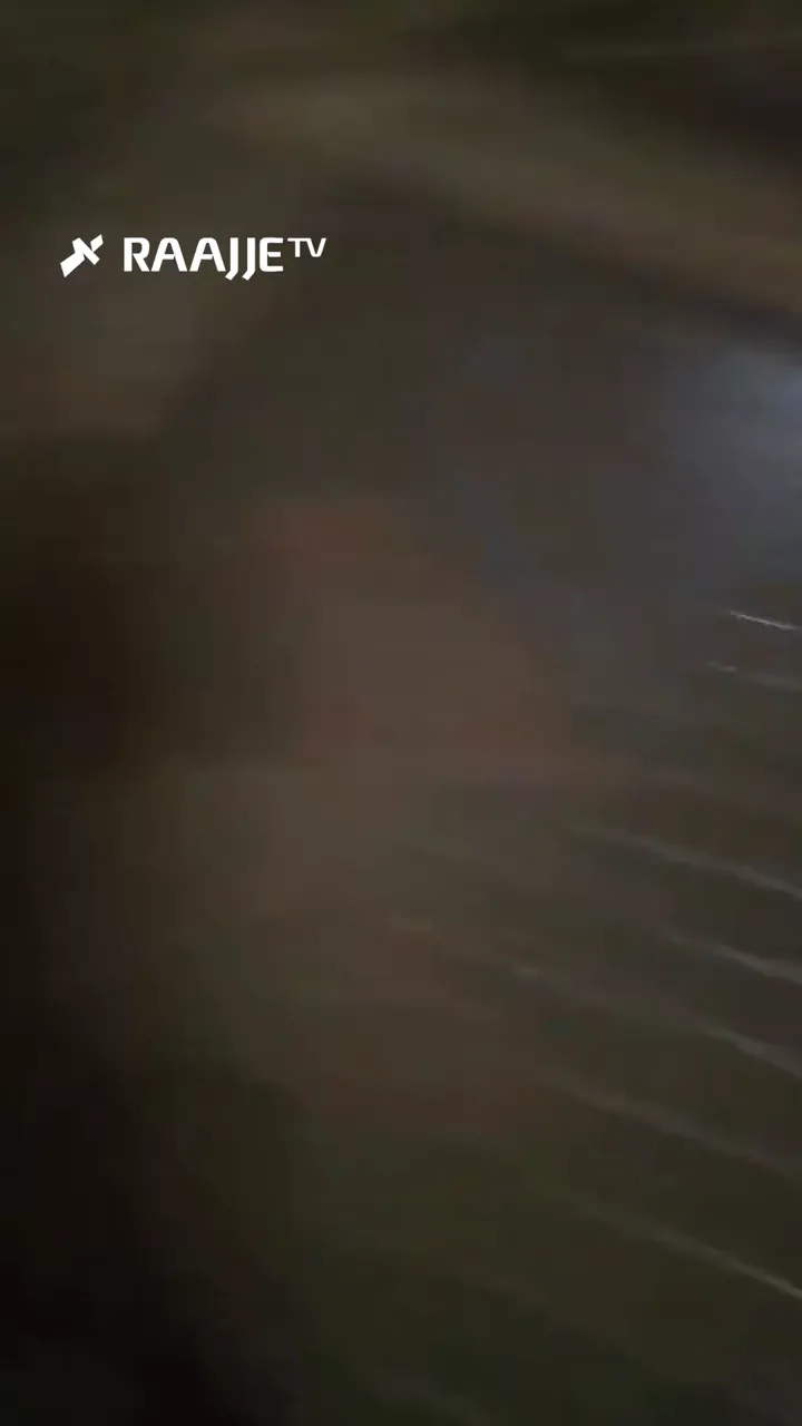 އިސްރާއީލުގެ ޑިމޯނާއަށް އަމާޒުކޮށް ދިން މިސައިލް ހަމަލާއެއްގައި މަދުވެގެން 20 މީހުން ޒަޚަމްވެއްޖެ