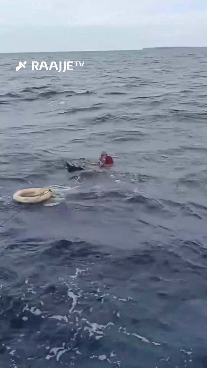 "އުދަރެސް" ބޯޓުން ގެއްލުނު މީހާ ފިލާގަނޑެއްގެ މަތީ ސަލާމަތުން އޮއްވައި ފެނިއްޖެ