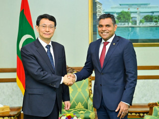 The Vice Chairman of CIDCA with VP Naseem