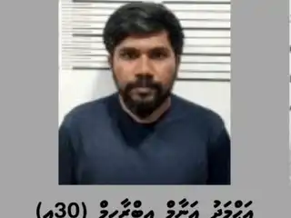 އަނާމްއަކީ އިކޮނޮމިކް މިނިސްޓްރީގެ ސީނިއާ ޕޮލިޓިކަލް ޑިރެކްޓަރެއް