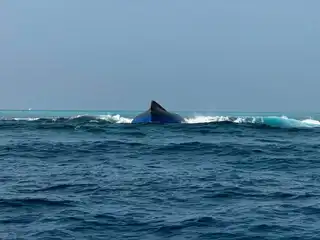 ކ.ވާދޫ ކައިރިއަށް ބަންޑުން ޖަހާލި ދޯނި