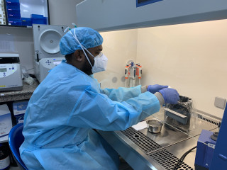 އައިޖީއެމްއެޗްގެ ލެބުގަ ކޮވިޑްގެ ސާމްޕަލްތައް ޓެސްޓުކުރަނީ