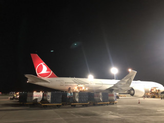 ޓަރކިޝް އެއަރލައިންގެ ފްލައިޓެއް ވީއައިއޭގައި