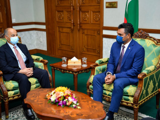 The President of FINA paid a courtesy call on Vice President Faisal Naseem on Thursday