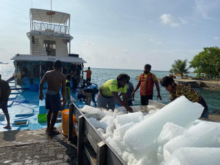A fish processing plant is located in Felivaru industrial island