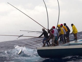 MIFCO to increase catch buying capacity in southern region