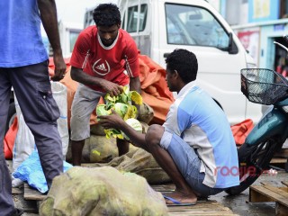 ރޯދަ މަހަށް ޚާއްސަކޮށް ވަގުތީ ދަތުރުވެރިންގެ މާރުކޭޓެއް ޤާއިމުކުރަނީ