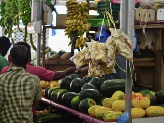 މާރުކޭޓު ގޮޅި ކަނޑައެޅުން: ކައުންސިލަރުން އެއް ގަލަކަށް ނޭރި ބޭކާރު ވަގުތުތަކެއް!