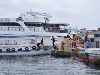 ޙަލާލު ގޮތުގައި ތައުމީނު (އިންޝުއަރެންސް) ކުންފުނިތައް ހިންގުން