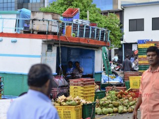 ފަޅު ރަށްރަށުން ކުރުނބަ އާއި ކާށި އަޅައިގެން، ރޯދަމަހު މާރުކޭޓްގައި ވިއްކުމުގެ ފުރުސަތު ހުޅުވާލައިފި