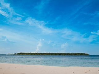 ބ. ހިބަޅިދޫ: ބިޒްނާސް މޯލްޑިވްސް އިން ރަށް ހޯދީ ރައީސް ނަޝީދުގެ ވެރިކަމުގައި