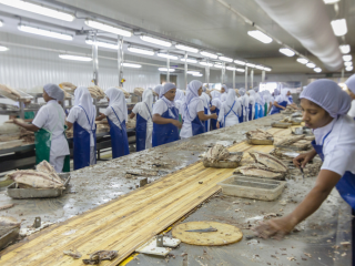 މިފްކޯ ބަނގުރޫޓްވެ މުވައްޒަފުން ވަޒީފާއިން ވަކިކުރާނެކަން އަންގައިފި