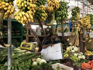 ދޮންކެޔޮ ތިޔާގިވެ، އަގު ދަށަށް ދާނެ ކަމަށް ވިޔަފާރިވެރިން ބުނެފި