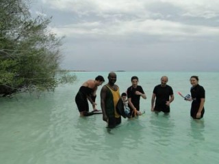 ޑައިވިނަށް ގޮސް އުޅުނު ފަތުރުވެރިއަކު ނިޔާވެއްޖެ