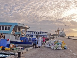 ނޯތު ހާބަރަށް ވެހިކަލް ވަންނަ ކޮންމެ ފަހަރު ފީނަގަން ނިންމައިފި