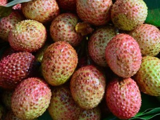 މީރު މޭވާއެއް ކަމަށްވާ ލިޗީ