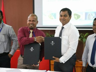 ހަތަރު ރަށެއްގެ ނަރުދަމާ ޑިޒައިން ކުރުމަށް ދެ މިލިއަނަށްވުރެ ގިނަ ރުފިޔާއަށް ފެނަކަ ކޯޕަރޭޝަނާ ހަވާލުކޮށްފި