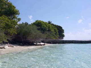 އީއައިއޭ ހެދުމަކާ ނުލައި އަލީ މައުރޫފް ކުޑަފަރީގައި ތޮއްޓެއް ލަނީ!