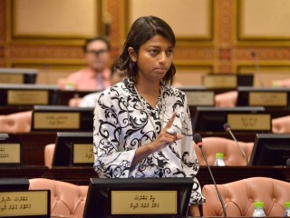 ގާނޫނު ބަދަލު ކުރަނީ އިންތިޚާބަށް ވަގުންތަކެއް ނެރެންވެގެން: އީވާ