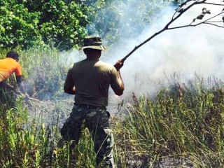 ފުވައްމުލަކު ކުޅީގައި ރޯވި އަލިފާންގަނޑު ނިއްވާލައިފި