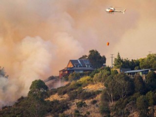 ނިއުޒިލޭންޑްގެ ކްރައިސްޓްޗާޗުގެ ޖަންގަލީގައި ރޯވެ އެތައް ސަތޭކަ ބަޔަކު ރައްކާތެރި ހިސާބުތަކަށް ބަދަލުވަނީ