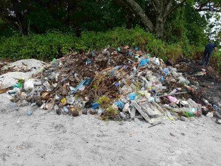 ކުނި އެއްކޮށްފައިވާ ސަރަހައްދެއް