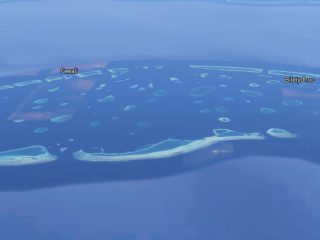 ފީއަލީ ކައިރީގައި ފިލްމް މަންޒަރެއް ނެގޭނީ ހުއްދަ ނަގައިގެން ކަމަށް ކަނޑައަޅައިފި