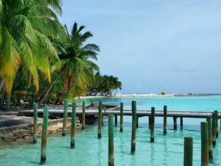 ފ. އަތޮޅުން ވިއްކާލަން އުޅެނީ ބައެއްތަ؟ ނުވަތަ މުޅި އަތޮޅުތަ؟