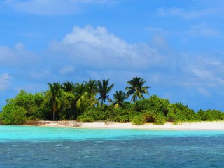 Muthaafushi to be sold off