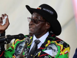 ޑަބްލިއުއެޗްއޯގެ ގުޑްވިލް އެމްބެސެޑަރުކަން މުގާބޭ އެއްވެސް އިރެއްގައި ބޭނުންފުޅު ނުވޭ: ތަރުޖަމާނު 