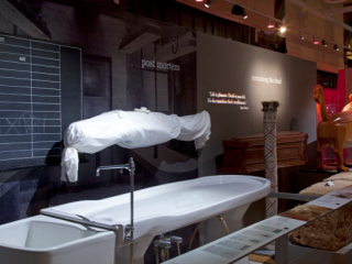 އިންސާނެއްގެ މަރުވެފައިވާ ހަށިގަނޑު