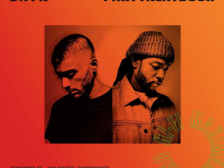 ޒެއިން މަލިކްގެ އާ ލަވައިގެ އޯޑިއޯ ކޮޅެއް އާންމުކޮށްފި