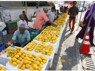 'Varuvaa' comes from a traditional system where atoll chiefs or rulers would give land to individuals to grow food and crops as much as possible