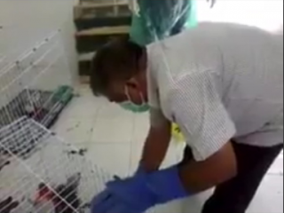 ސަރުކާރުގެ އިދާރާއެއްގެ ތެރޭގައި ފަހަރަކު ދޫންޏެއް ފަހަރަކު ދޫންޏެއް ކަތިލަމުން ދިޔަ ހިތްދަތި މަންޒަރު