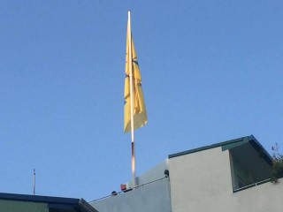 އެމްޑީޕީ މާފަންނު ބޮޑު ދިދަ ނެގުމާއި ކައުންސިލް އިންތިހާބުގެ ކެމްޕެއިން ހަރަކާތް ފަށައިފި