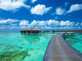 ޓޫރިޒަމް އިންޑަސްޓްރީގައި ވަޒީފާ އަދާކުރާ ޒުވާނުންގެ މެދުގައި ގެންގުޅޭ ތަފާތު ކުރުންތައް ނައްތާލަން ޖެހޭ!