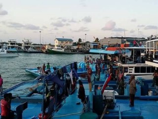 މިފްކޯއަށް މަސް ގަންނަ އަގު ބޮޑުކޮށްފި