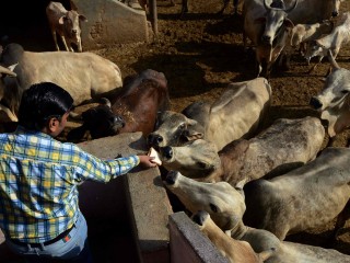 އިންޑިއާގެ ހިންދޫންތަކެއް މުސްލިމުން ދެ ޒުވާނުން މަރާލައިފި