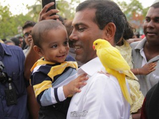 ރައީސް ނަޝީދު އެވެ. ތިވަރެއް ހަމަ ނެތެވެ!