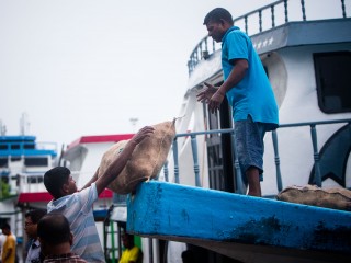 މުދާ އުފުލުމަށް ގެނައި ބަދަލާއި އެކު، ތަކެތީގެ އަގު ބޮޑުވެދާނެކަމުގެ އިންޒާރު!
