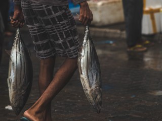 Numbers show why fishers are not signing up for insurance scheme: Ministry