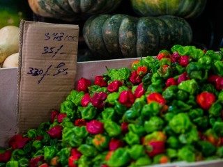 Prices of chillies drop after record highs