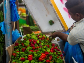 މާރުކޭޓުގައި އެންމެ ޑިމާންޑް ބޮޑީ، ފަނިގިރާ ސާމާނަށް