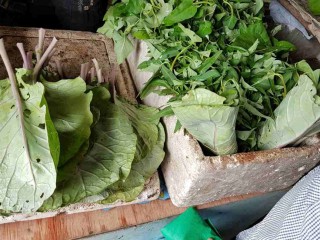 ފަތެއް ނެތް، ލިބެން ހުރި ފަތުގެ ބާވަތްތަކުގެ އަގުތައް އެހާ މަތީގަ!