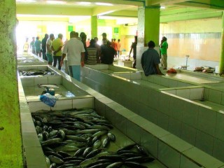 މަސްލިބުން ދަތިވެ، އަގުތައް އިންތިހާއަށް މަތީގައި