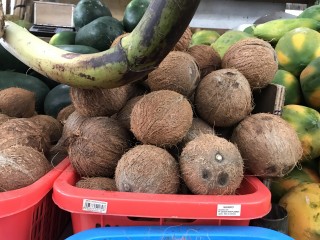 ކާށީގެ އަގު ރަނަށް، އަދިވެސް އަގުބޮޑުވާނެ! 