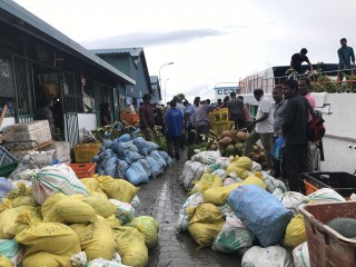 ފަތުގެ އަގު މައްޗަށް، ކަނޑު މަހުގެ އަގު ވަރަށް ބޮޑުތަން ދަށަށް