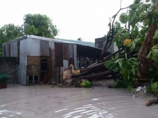 ނިލަންދޫ އަށް އެރި ނަގޫރޯޅީގައި ފުރާޅު އެއްލާލި ހަތަރު ގޭގެ މީހުން އެހެން ގެތަކަށް ބަދަލުކޮށްފި 