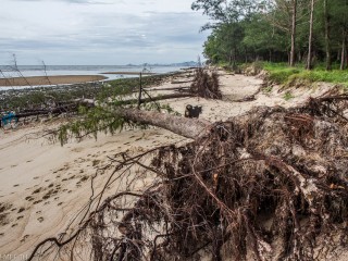 ޕެރިސް އެގްރީމެންޓުން އެމެރިކާ ބޭރުވުމުން ރާއްޖެ ކަންބޮޑުވެއްޖެ!