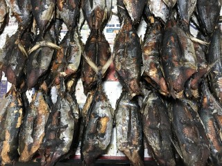 ވަޅޯ މަހުގެ އަގު ދަށަށް ޖެހިލައިފި